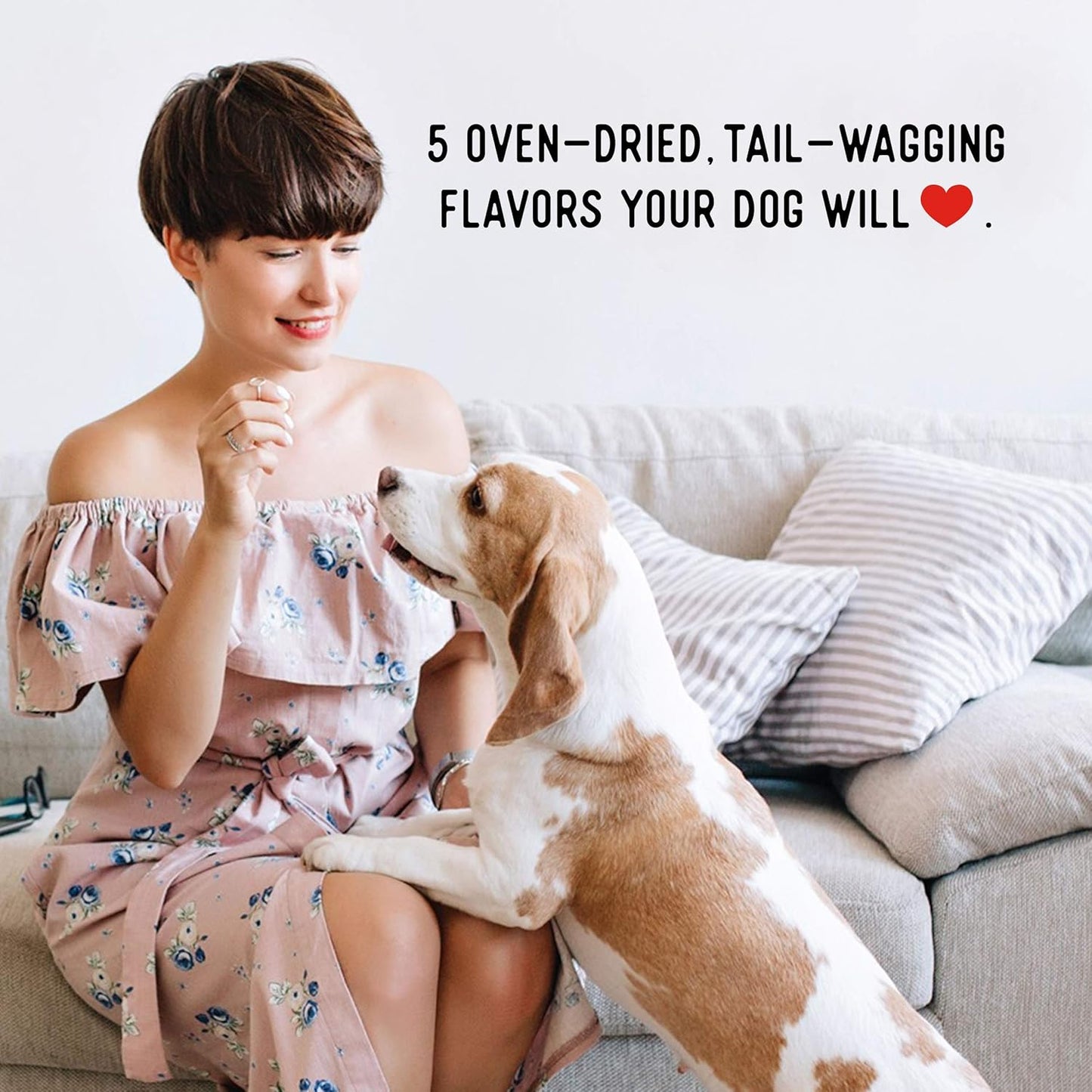 Farmland Traditions Dogs Love Chicken Jerky Dog Treats, Premium Two-Ingredient Dog Jerky with USA-Raised Chicken & No Antibiotics Ever, 3-Pound Bag