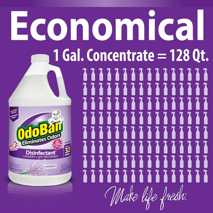 OdoBan Ready-to-Use Disinfectant and Odor Eliminator, Set of 2, 32 oz Spray and 1 Gallon Concentrate, Original Eucalyptus Scent
