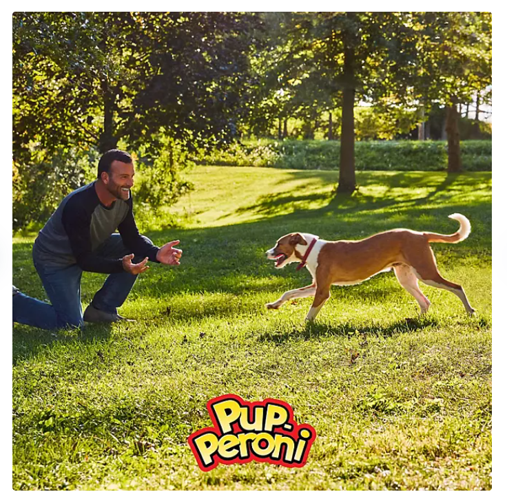 Pup-Peroni Dog Snacks, Original Beef Flavor (46 oz.)