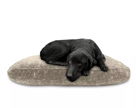 Canine Creations Orthopedic Foam Pillow Pet Bed (36" x 27" Color: Tan)